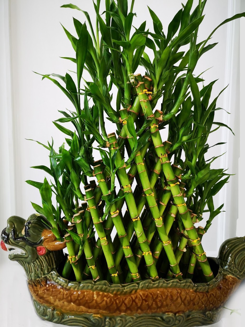 Fashion Flowers | 1571 Sandhurst Cir, Scarborough, ON M1V 1V2, Canada | Phone: (416) 609-8588
