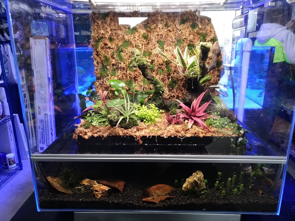 Peters Reef Pond | 463 Falconbridge Rd, Sudbury, ON P3A 3Z8, Canada | Phone: (705) 521-0050