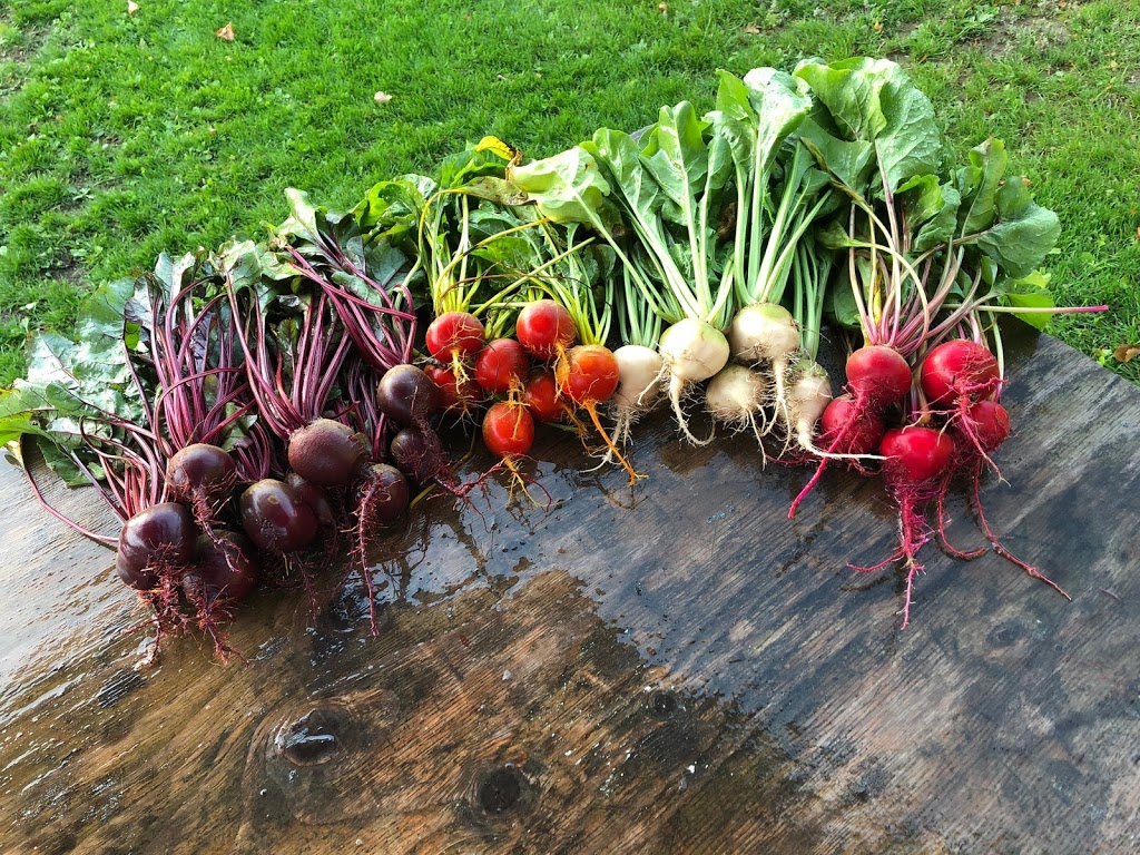 East Ridge Farms | 11924 267 St, Maple Ridge, BC V2W 1N9, Canada | Phone: (778) 839-7066