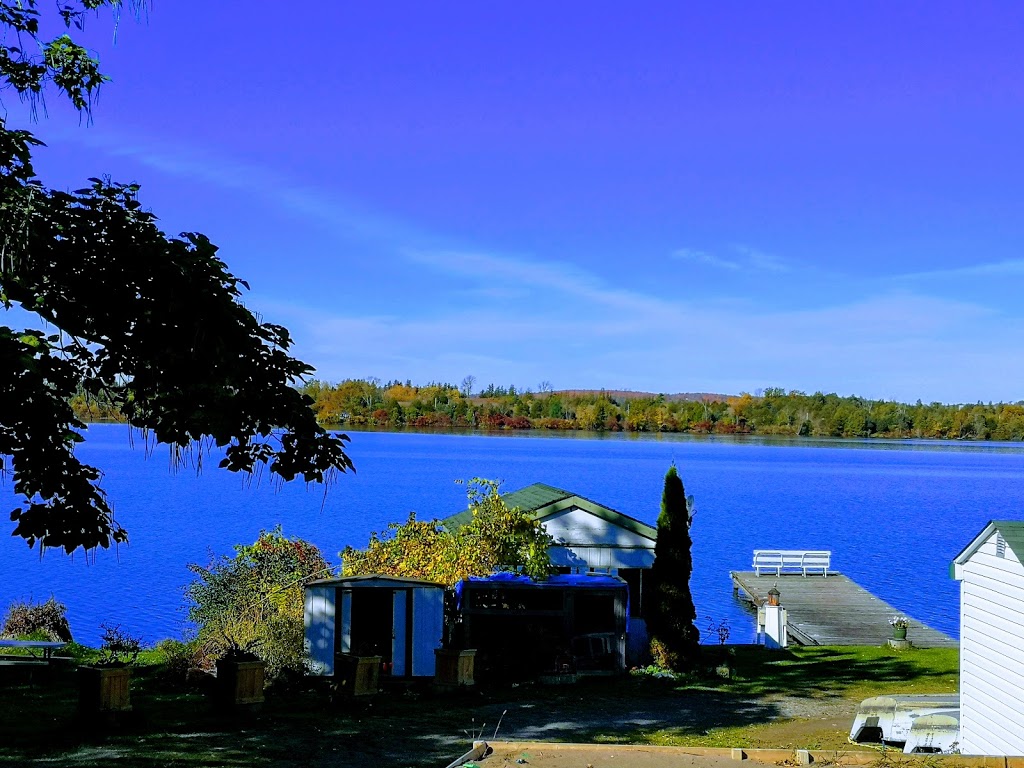 Willowood Camp | 4 Parker Drive (exit 474B from, ON-401, Roseneath, ON K0K 2X0, Canada | Phone: (416) 939-5906