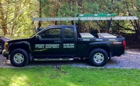 Pest Expert | 954138 7th Line East, Orangeville, ON L9W 6E9, Canada | Phone: (519) 941-9475