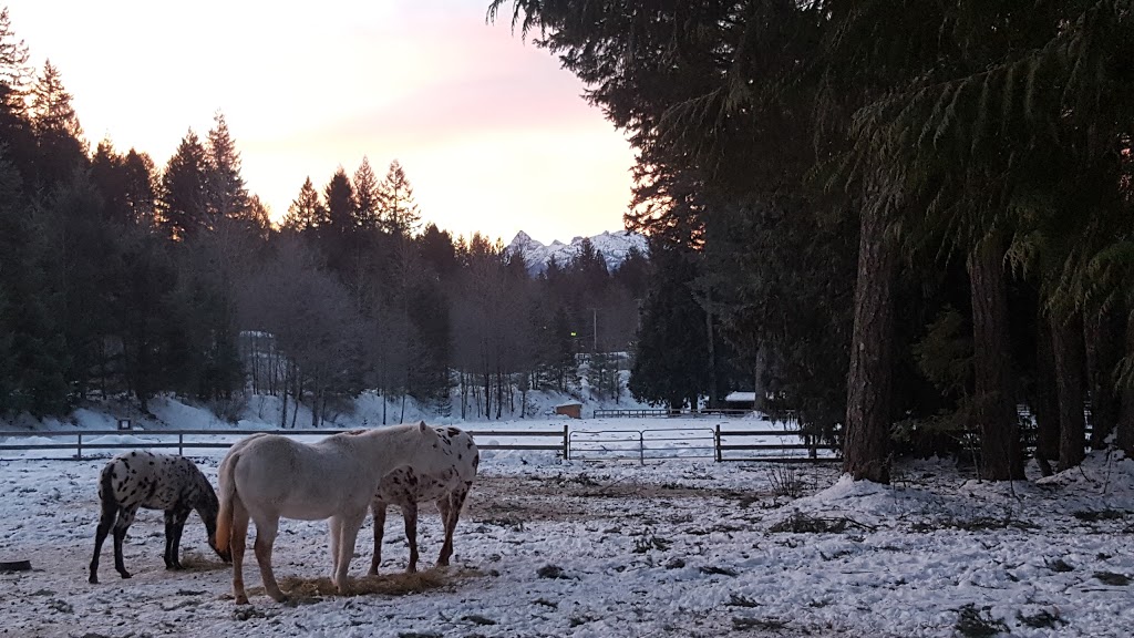 Cheekye Ranch | 60001, 60001 Squamish Valley Rd, Brackendale, BC V0N 1H0, Canada | Phone: (250) 540-8226