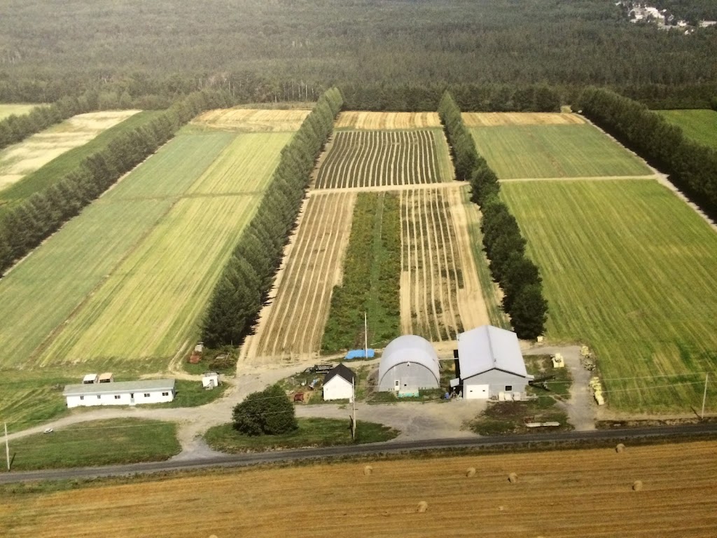 Bechedor inc. | 1508 25e Av, Saint-Prosper, QC G0M 1Y0, Canada | Phone: (418) 594-8580