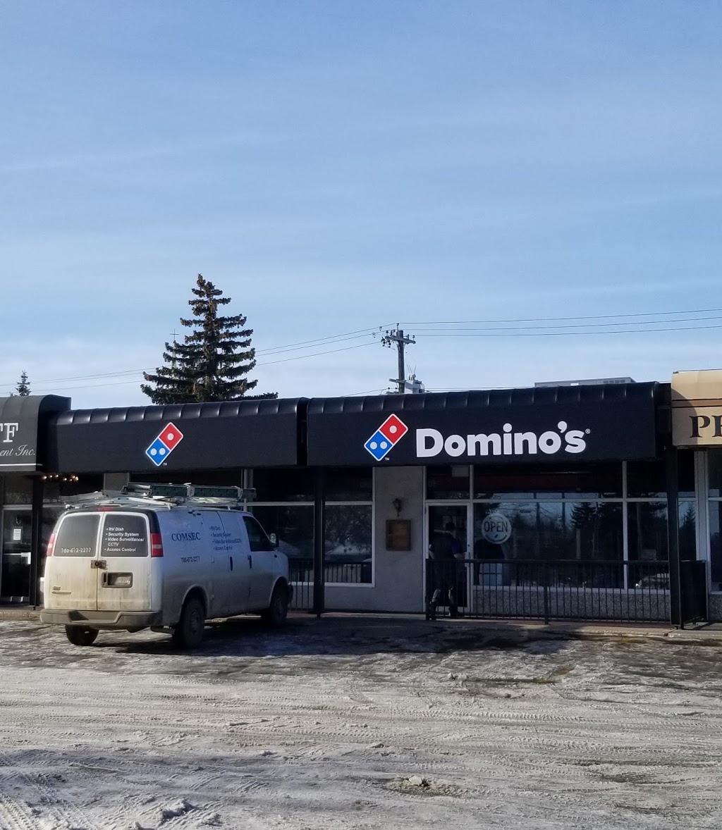 Dominos Pizza | 10706 142 St NW, Edmonton, AB T5N 2P7, Canada | Phone: (780) 757-3335