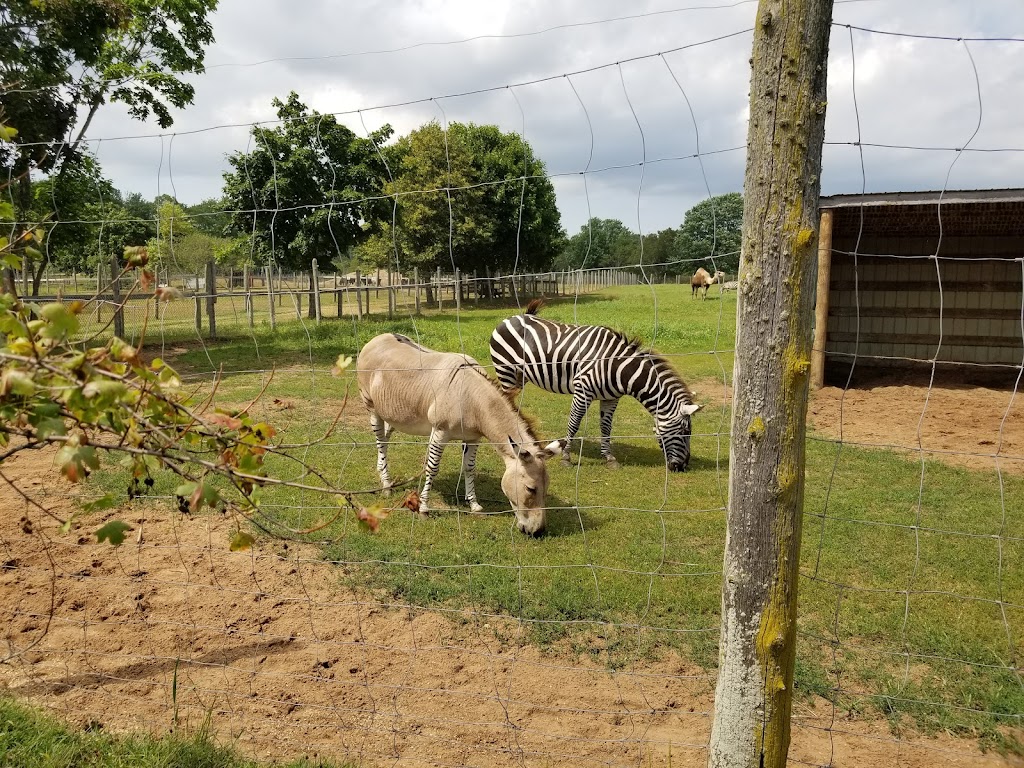 Oaklawn Farm Zoo - 1007 Ward Rd, Aylesford, NS B0P 1C0, Canada