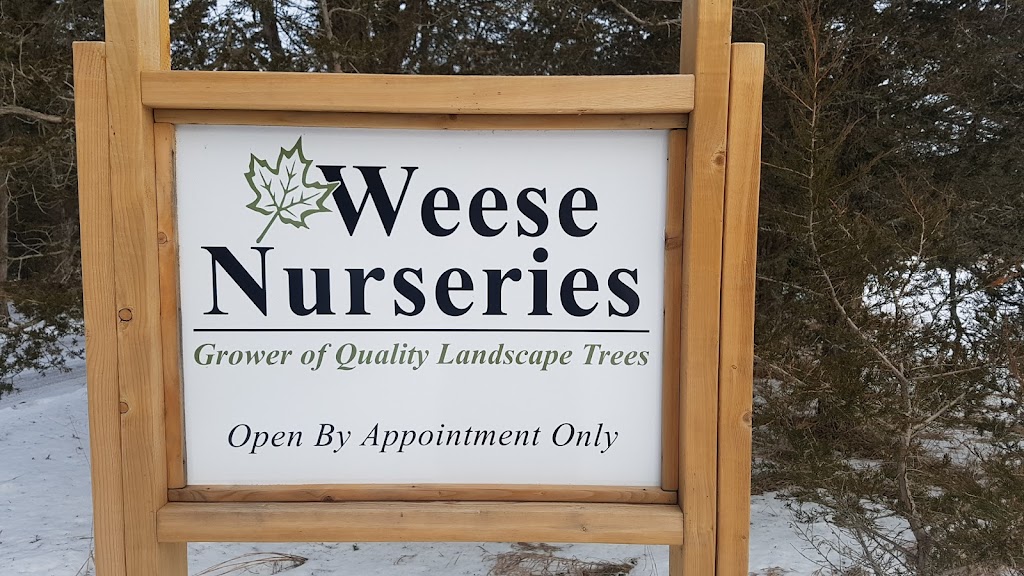 Weese Tree Preservation and Weese Nurseries | 541A S Shore Rd, Napanee, ON K7R 3K7, Canada | Phone: (613) 352-5988
