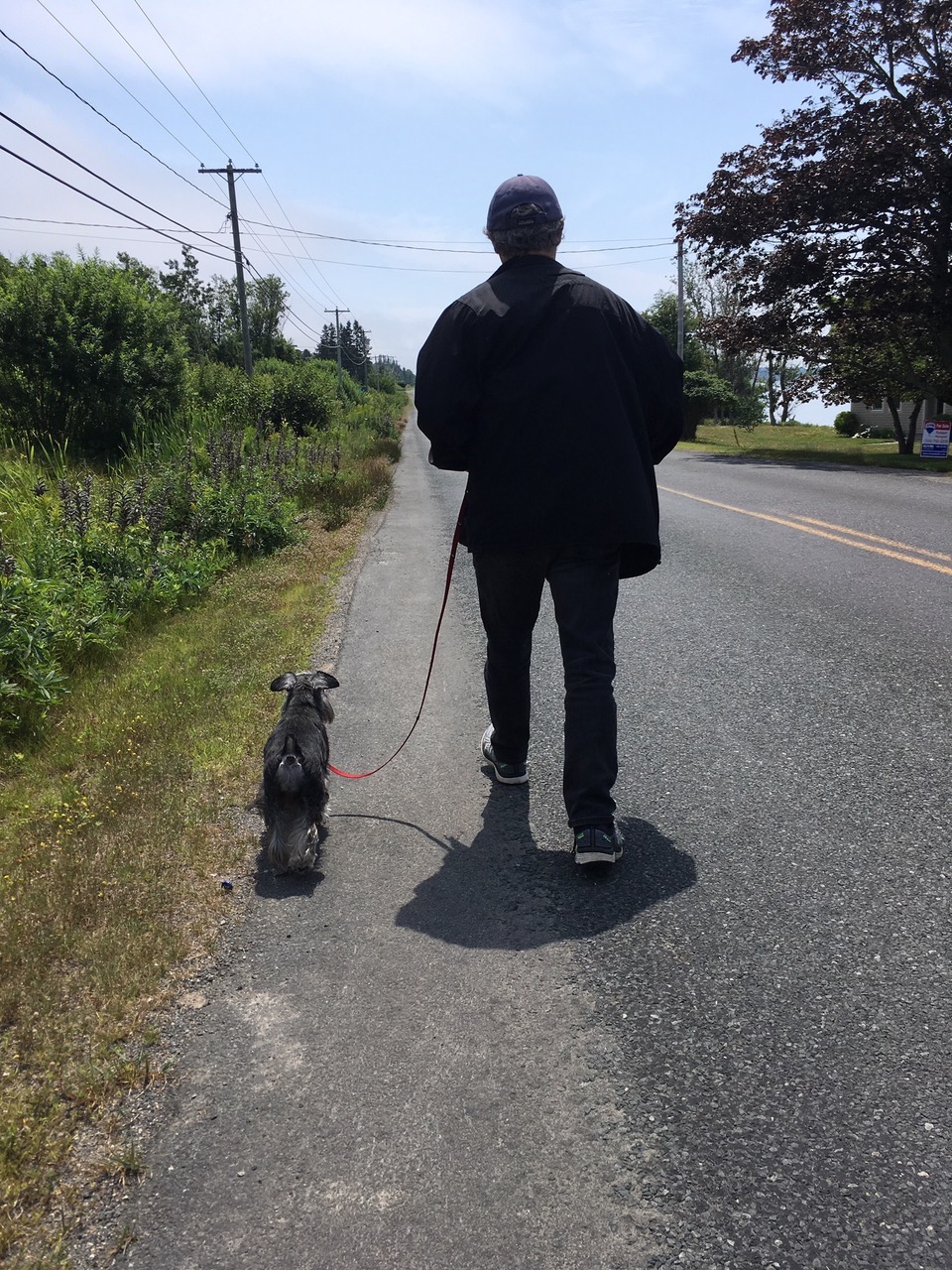 The Puppy Tutor | 56 Belcourt Crescent, Guelph, ON N1H 7A7, Canada | Phone: (519) 820-3511