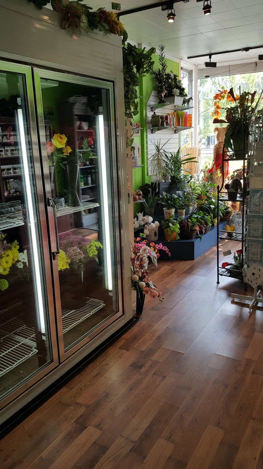 Douce Folie En Fleurs | 192 Rue Saint-Pierre, East Angus, QC J0B 1R0, Canada | Phone: (819) 832-2002