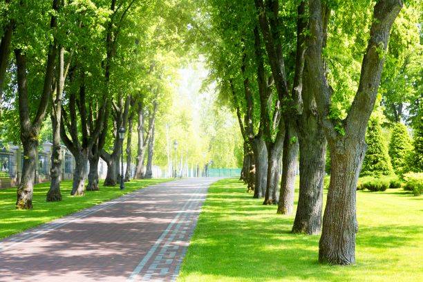 Life Path Counselling | 11500 29 St SE #105, Calgary, AB T2R 3W9, Canada | Phone: (403) 991-4966