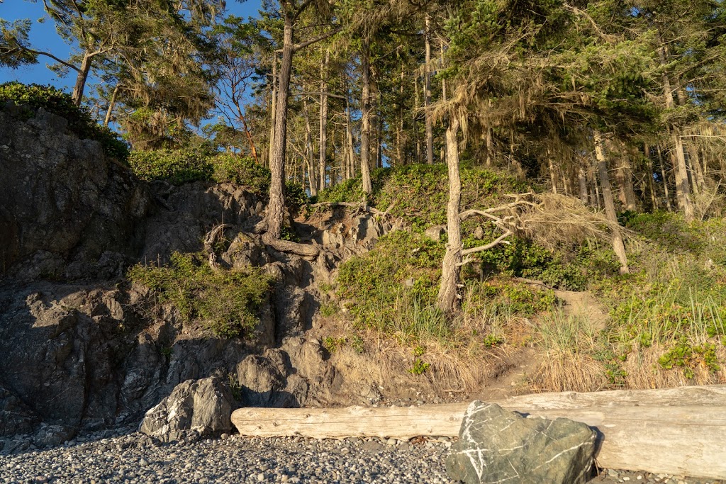 Pacific NW Trail | Pacific NW Trail, Oak Harbor, WA 98277, USA