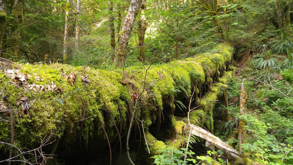 Old Water Pipe Acess | 1850 Impala Rd, Victoria, BC V9C 4C1, Canada