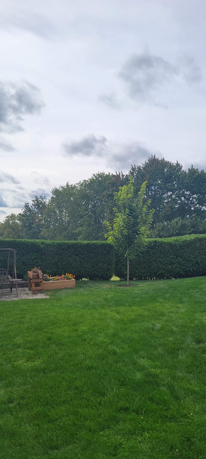 Cannon Contracting | 1 Centre Ln, Caesarea, ON L0B 1E0, Canada | Phone: (905) 242-8708