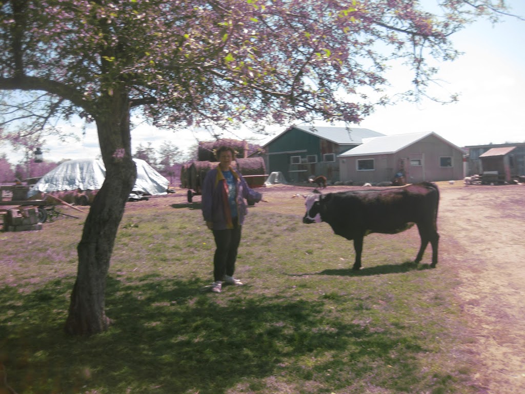 Sunny Meadow Farm | 3073 Flos Rd 5 W, Phelpston, ON L0L 2K0, Canada | Phone: (705) 322-2304