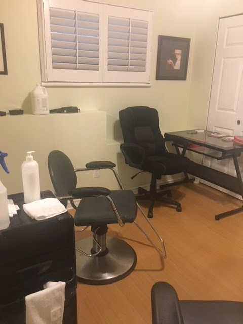 LICE BUSTERS TRICITY | 1821 Harbour St, Port Coquitlam, BC V3C 1A4, Canada | Phone: (778) 862-0724