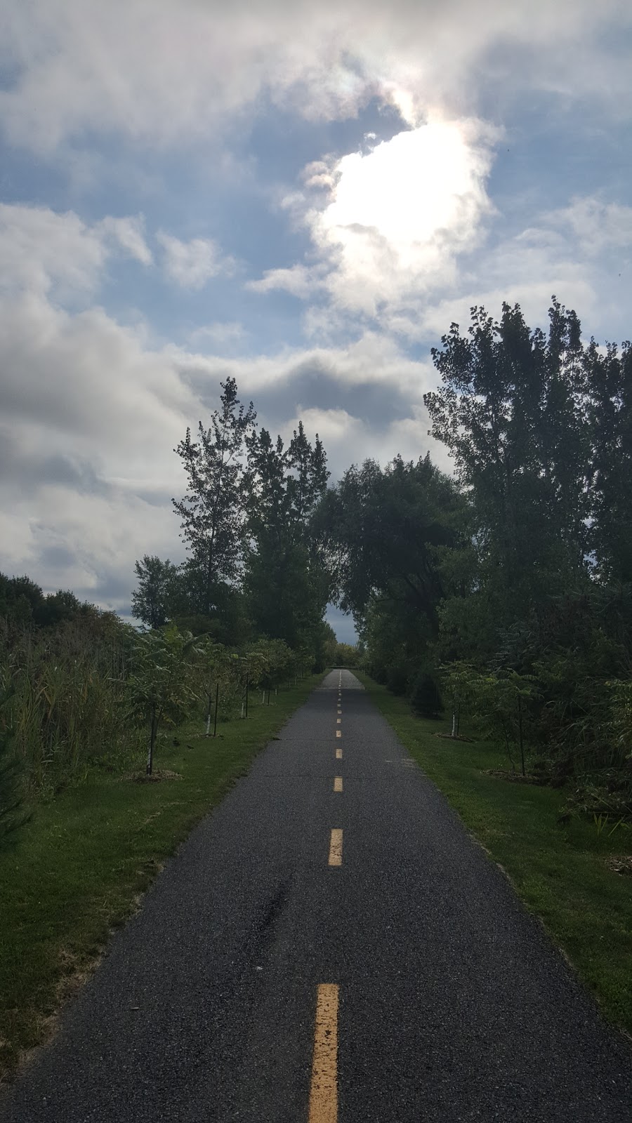 Illinois Park | Avenue Illinois, Brossard, QC J4Y, Canada