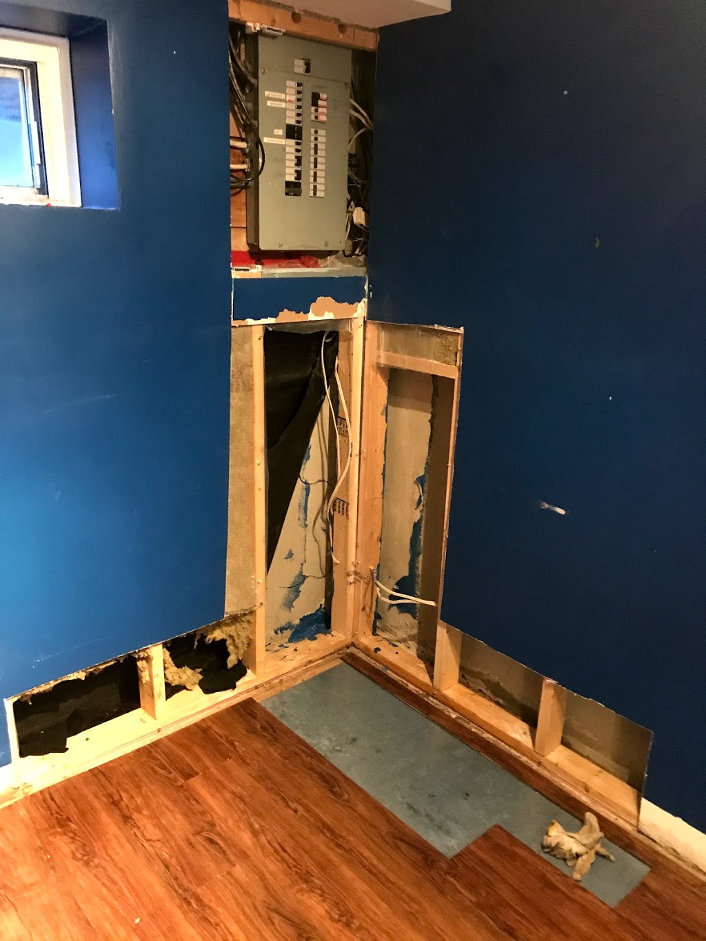 BWD Solutions (Waterproofing Basement) | 3453 Cedar Creek Dr, Mississauga, ON L4Y 2Y2, Canada | Phone: (647) 575-7753