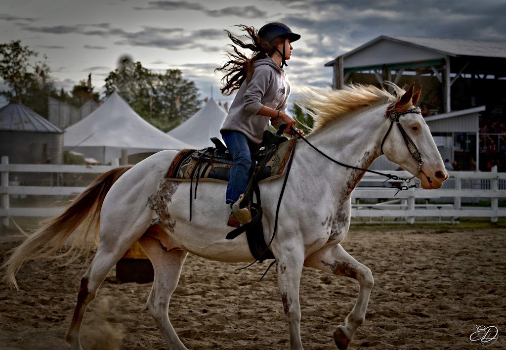 Ed photographie | QC-241, Waterloo, QC J0E 2N0, Canada | Phone: (819) 576-3395