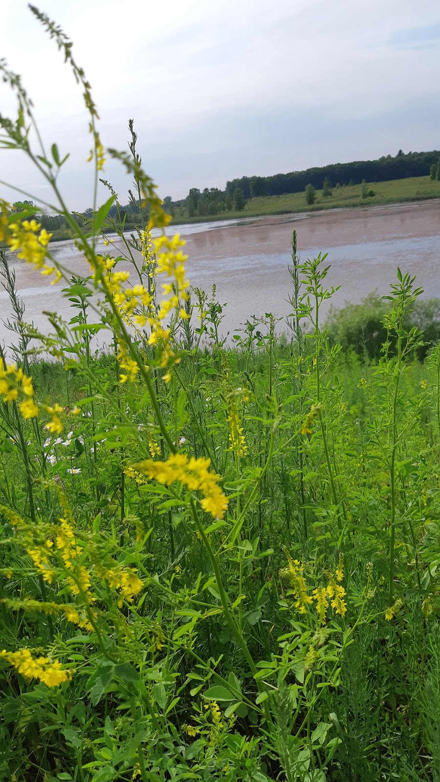 Komoka Provincial Park - The Ponds | 22290 Komoka Rd, Middlesex Centre, ON N0L, 22290 Komoka Rd, Middlesex Centre, ON N0L, Canada | Phone: (519) 874-4691
