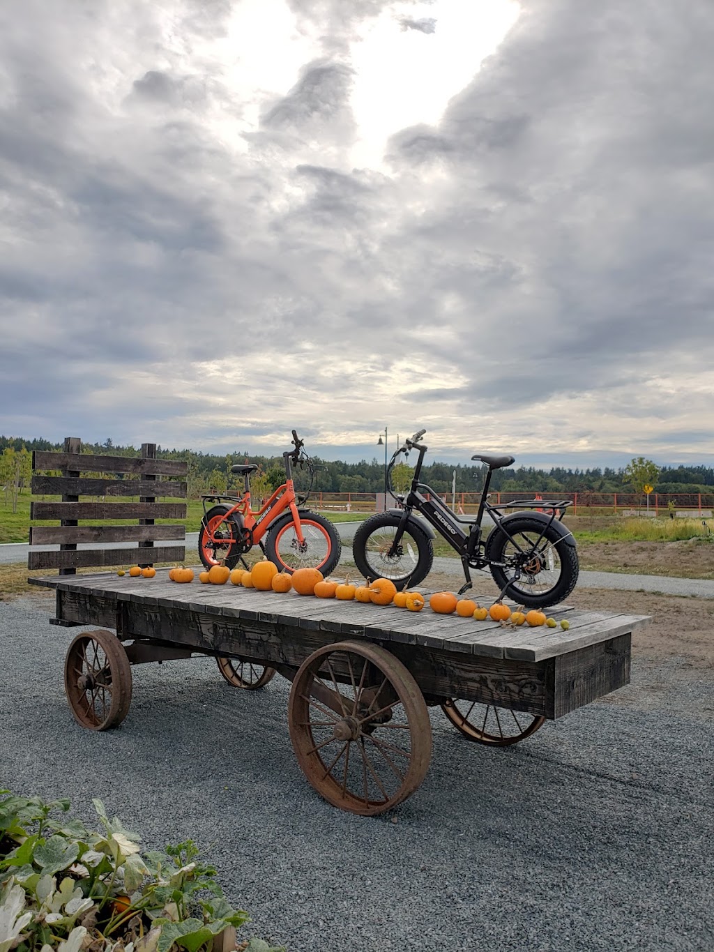 Pedego Electric Bikes Delta | 6388 Market Ave #106, Delta, BC V4M OB1, Canada | Phone: (604) 952-9228