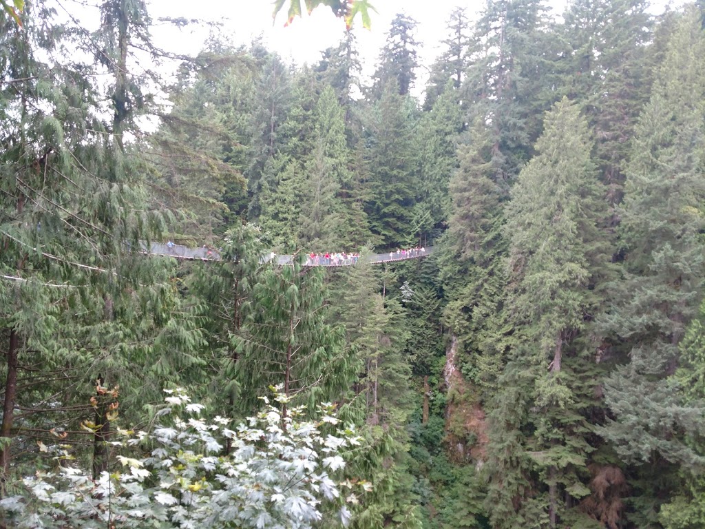 Bridge Park Walk | North Vancouver, BC V7R 4J1, Canada
