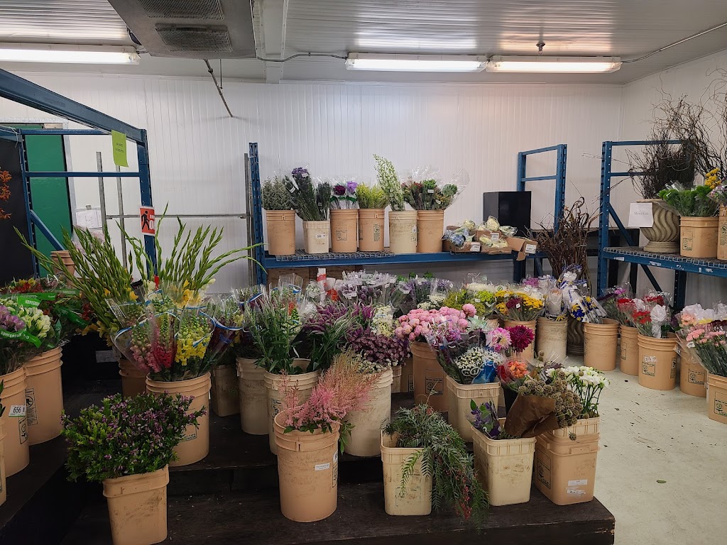 Florists Supply Ltd | Roseberry Square, 3979 Marine Way unit 5, Burnaby, BC V5J 5E3, Canada | Phone: (604) 630-4688