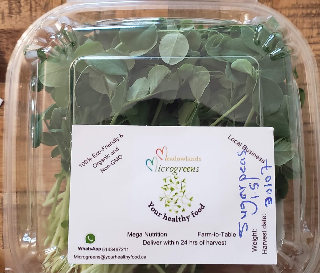 Meadowlands Microgreens | 1157 Meadowlands Dr E, Ottawa, ON K2E 6J5, Canada | Phone: (514) 346-7211