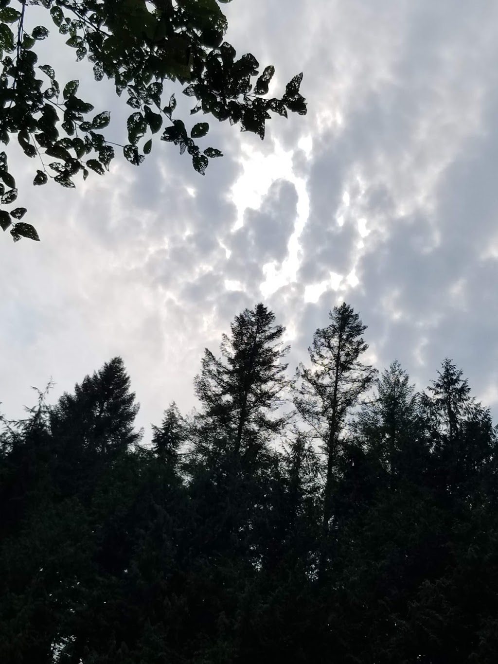 North Beach Trail | Golden Ears Pkwy, Maple Ridge, BC V0M, Canada