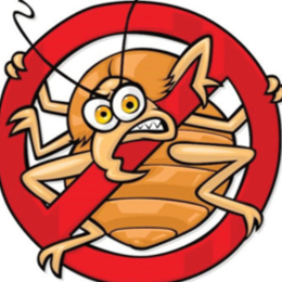 Certified Pest Control | 4- 10 devon close, St. Albert, AB T8N 6B6, Canada | Phone: (780) 231-3872