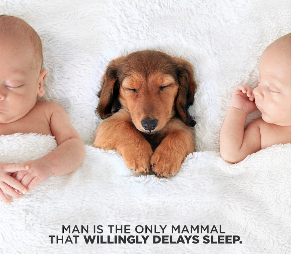 Metro Mattress | 6970 Transit Rd, Williamsville, NY 14221, USA | Phone: (716) 631-5300