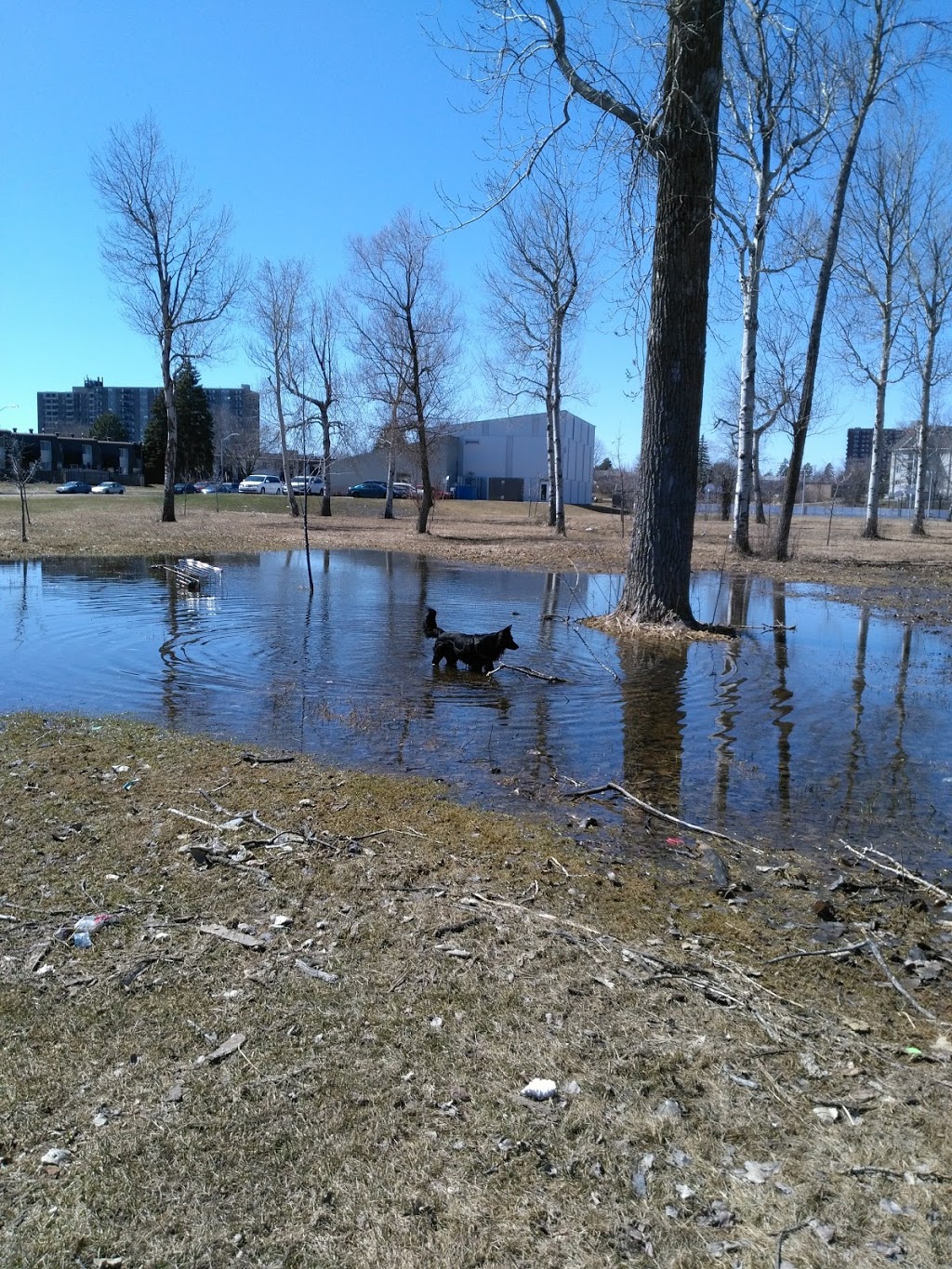 Heatherington Park | Ottawa, ON K1V 9P5, Canada | Phone: (613) 580-2595