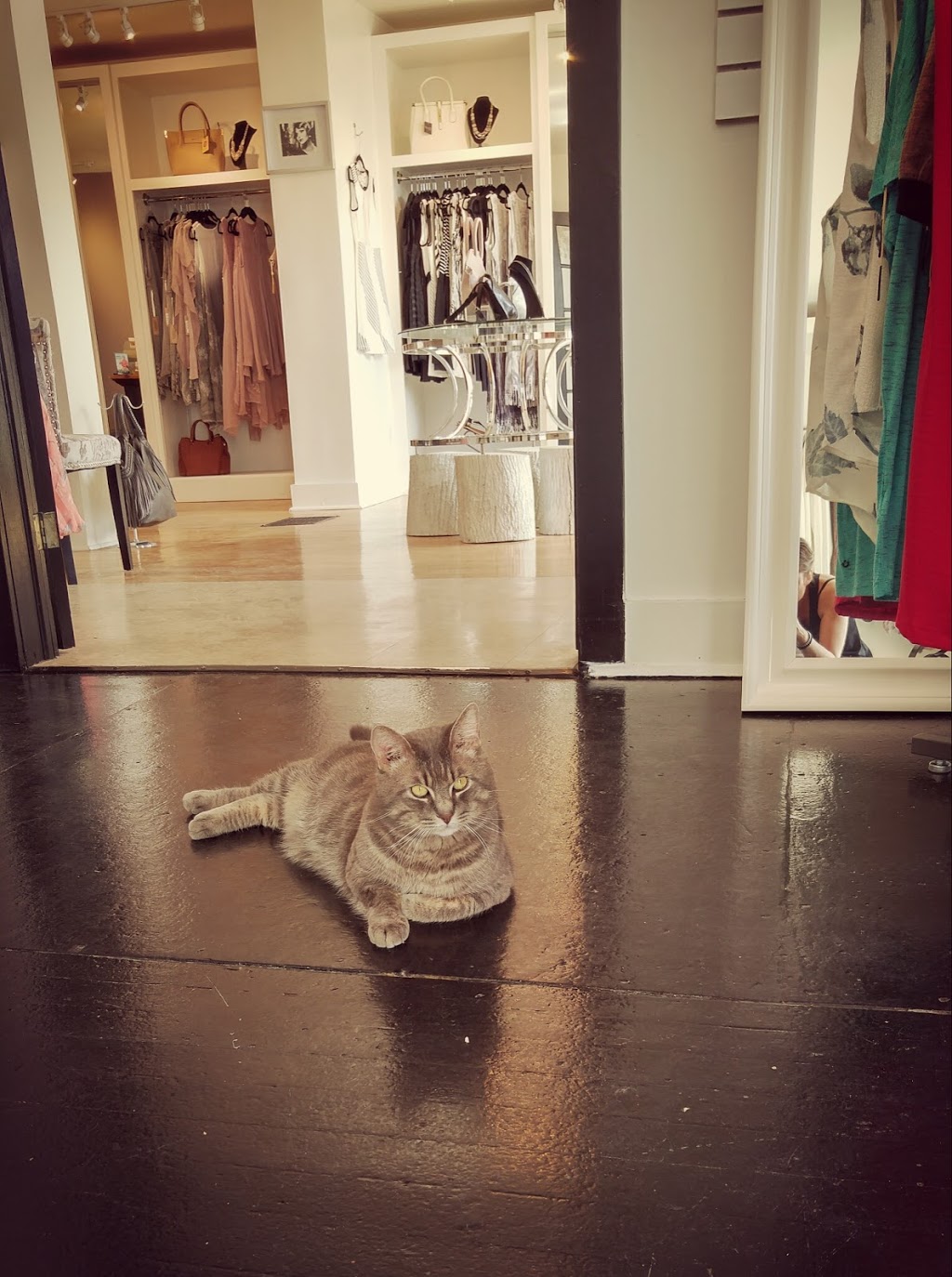 lady savannah fashion boutique