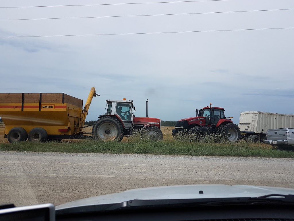 Stanton Bros Limited | 13514 Twelve Mile Rd, Ilderton, ON N0M 2A0, Canada | Phone: (519) 666-0800
