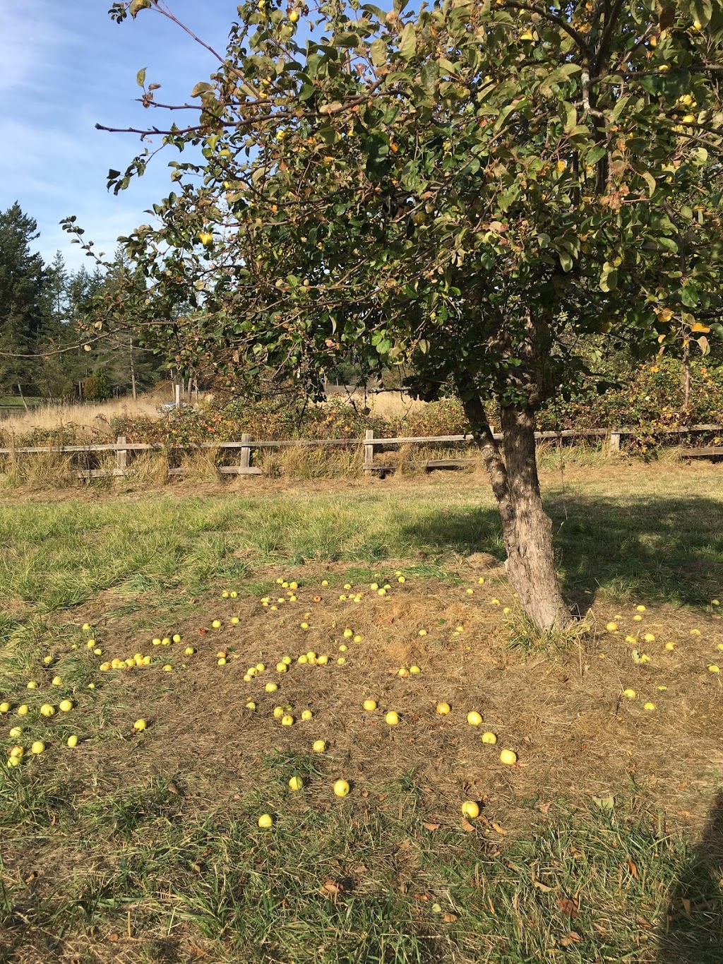 Deer Harbor Preserve | Salish Sea, Eastsound, WA 98245, USA