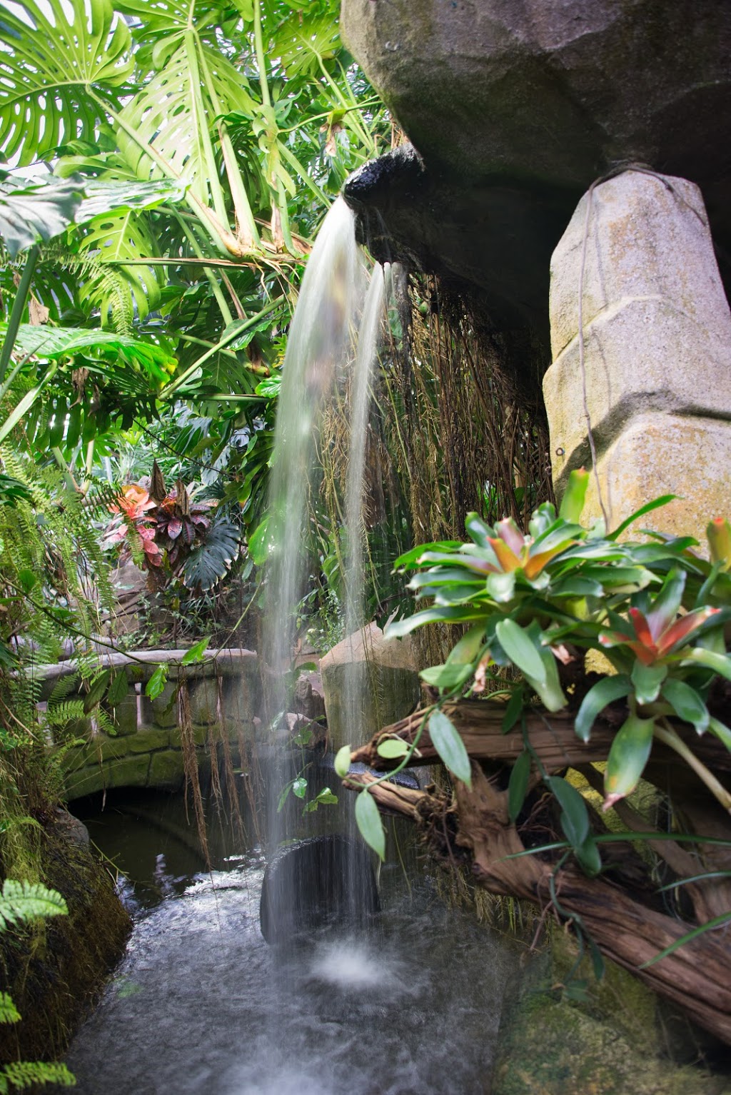 Victoria Butterfly Gardens | 1461 Benvenuto Ave, Brentwood Bay, BC V8M 1J5, Canada | Phone: (250) 652-3822