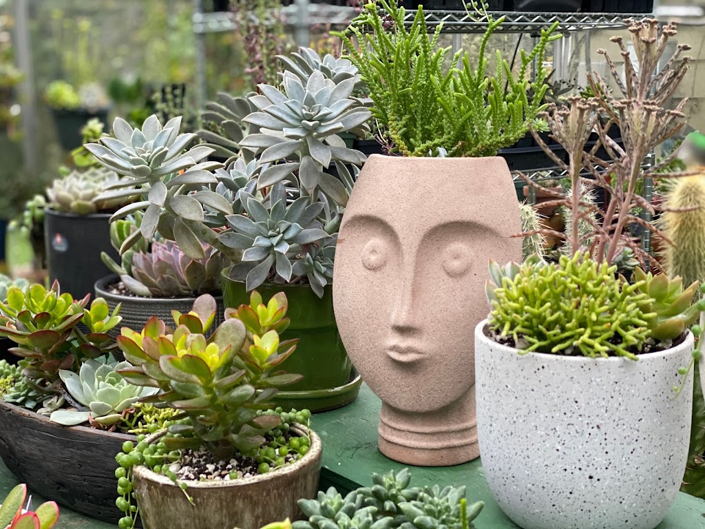 The Planted Farm | Succulents Victoria | 1340 Wain Rd, North Saanich, BC V8L 5V1, Canada | Phone: (250) 893-3547