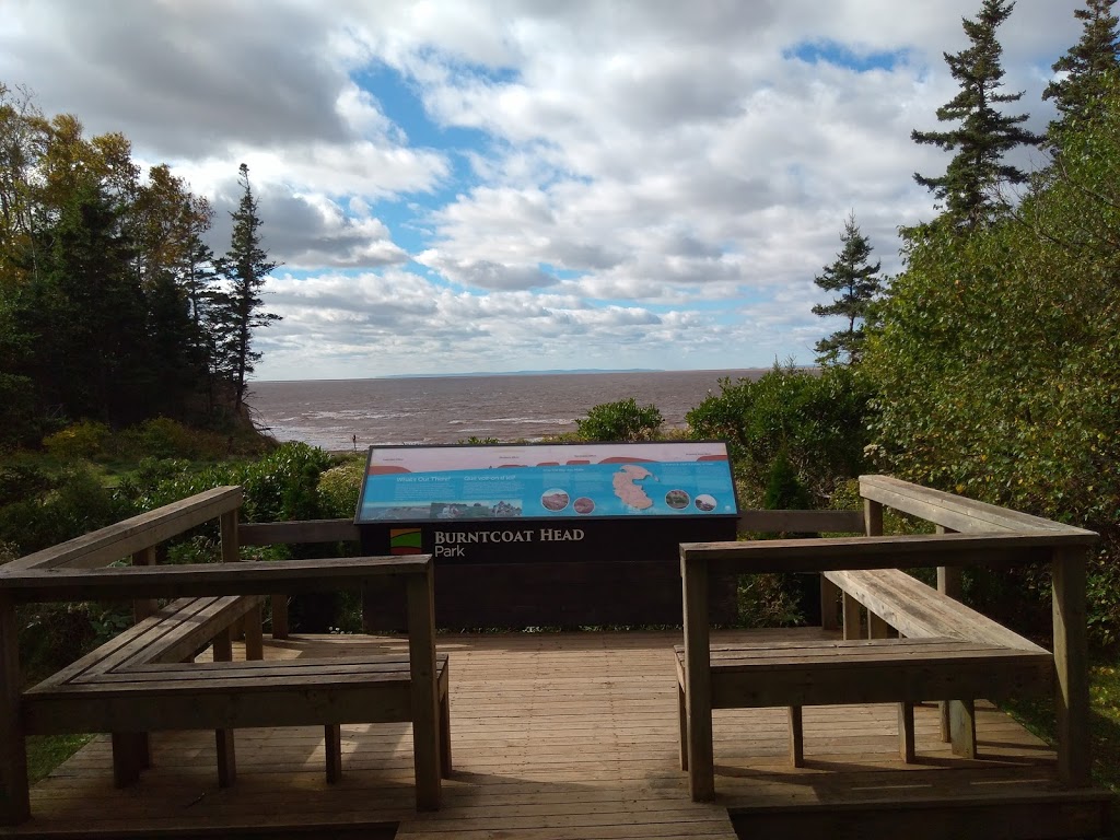 Burntcoat Head Park Association | 611 Burntcoat Rd, Noel, NS B0N 2C0, Canada | Phone: (902) 369-2529