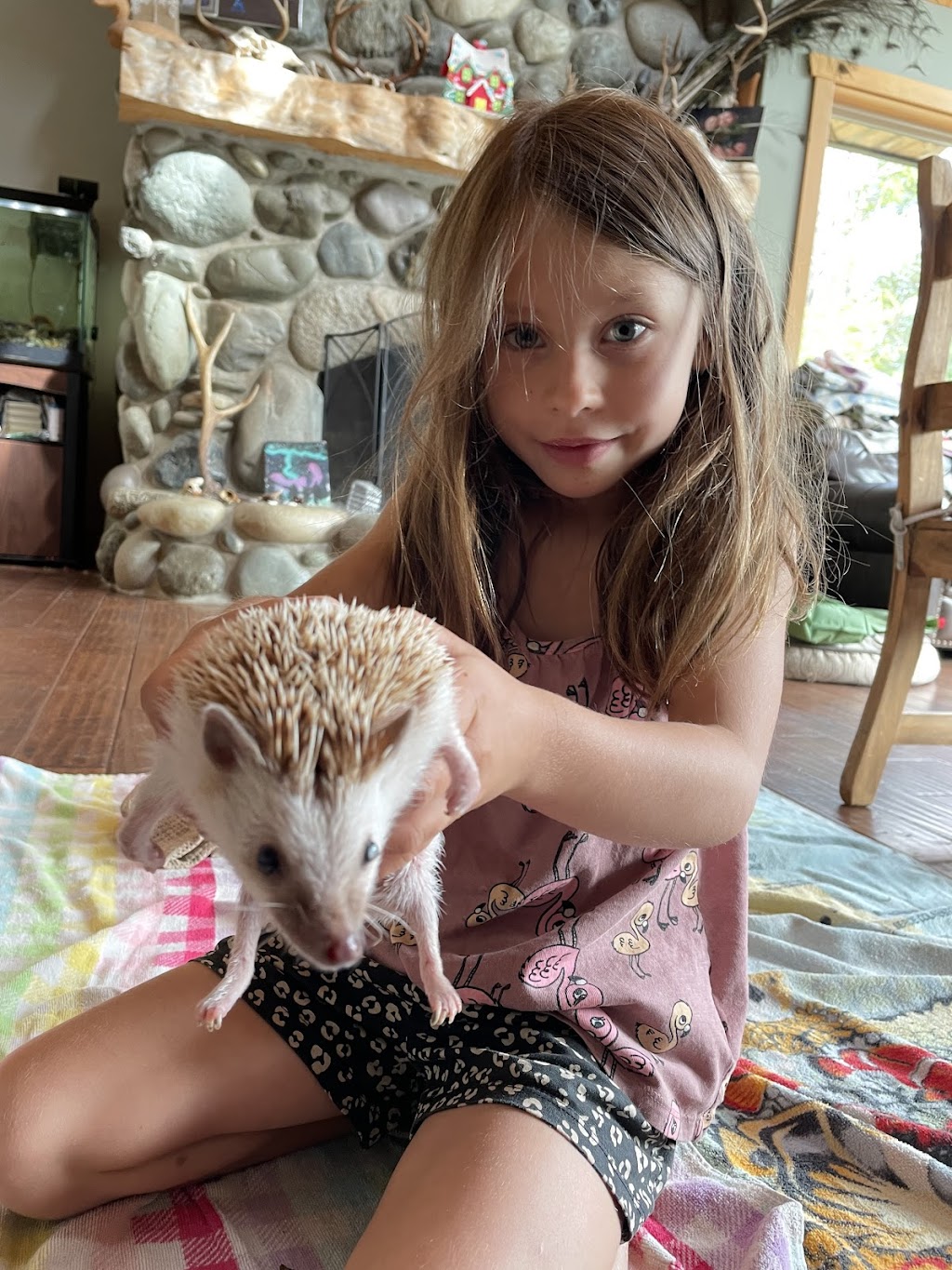 Barnyard Party Animals | 2065 Miracle Beach Dr, Black Creek, BC V9J 1K3, Canada | Phone: (250) 202-8087