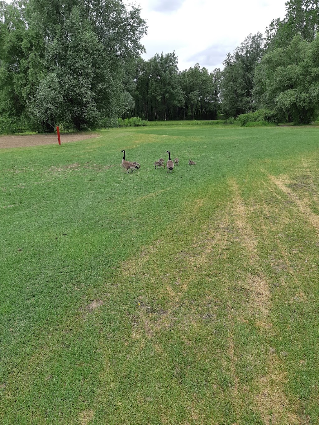 Falcon Ridge Golf Club | 4740 High Rd, Gloucester, ON K1X 1B3, Canada | Phone: (613) 822-6742