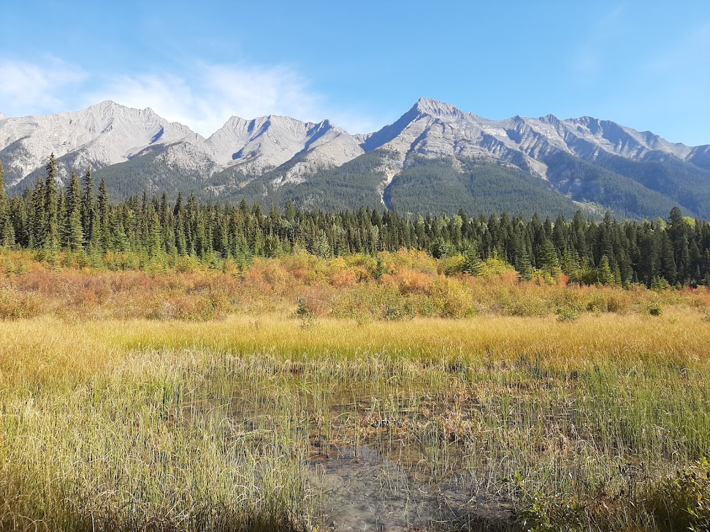 McLeod Meadows CG, Kootenay NP | Banff-Windermere Hwy, Edgewater, BC V0A 1E0, Canada | Phone: (877) 737-3783