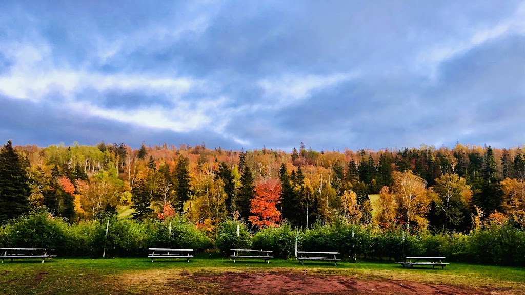 Olde Towne Orchard | 257 Warburton Rd, New Glasgow, PE C0A 1N0, Canada | Phone: (902) 394-7526
