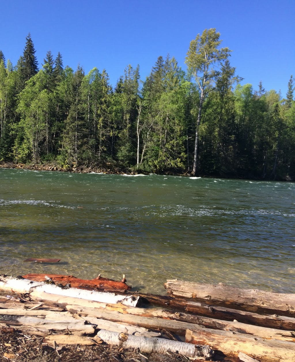 Kingfisher Community Society | 3337 Enderby Mabel Lake Rd, Enderby, BC V0E 1V5, Canada | Phone: (250) 838-6200