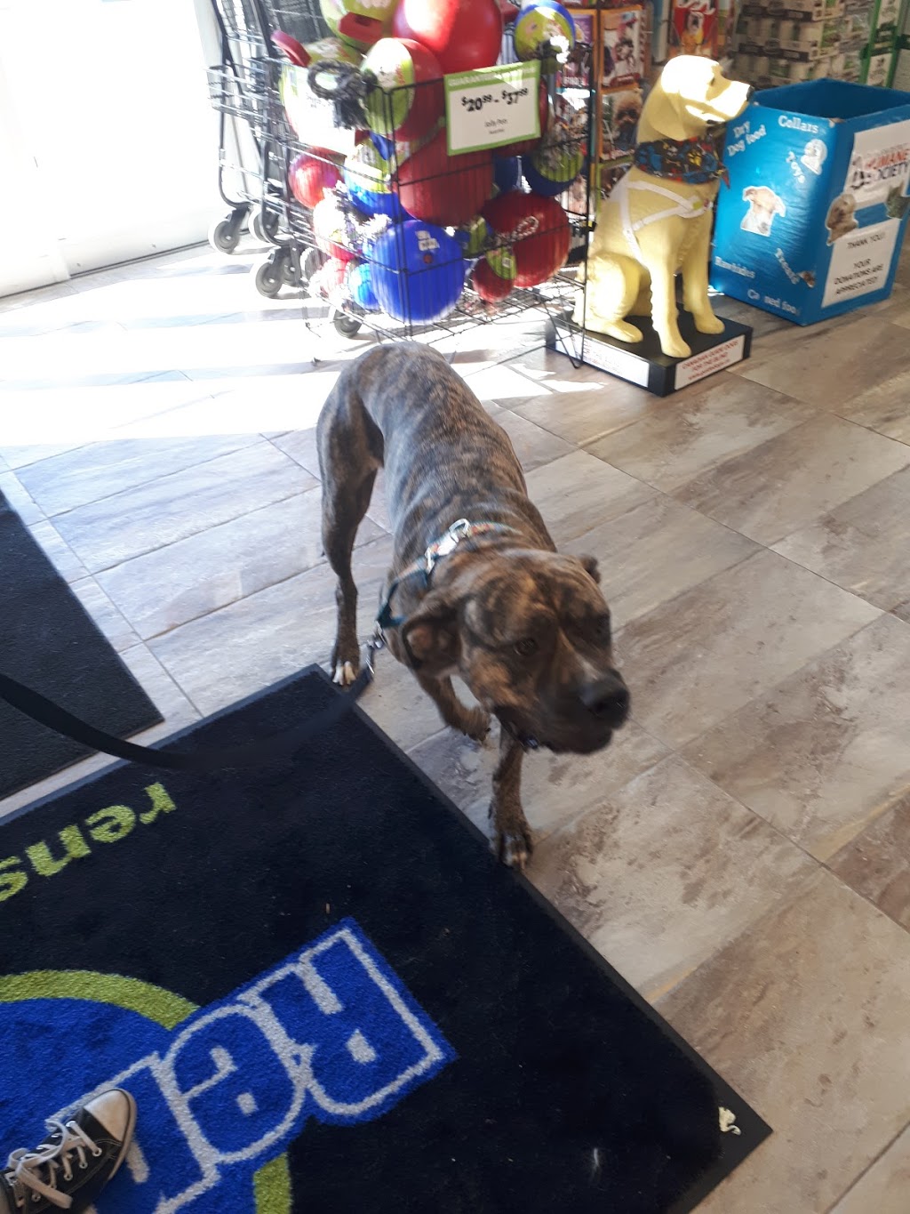 Rens Pets Kanata | 155 Roland Michener Dr, Kanata, ON K2T 1G7, Canada | Phone: (613) 599-0428