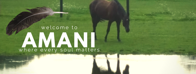 Amani Acres | 160 Jerseyville Rd, Brantford, ON N3T 5M1, Canada | Phone: (519) 277-3848