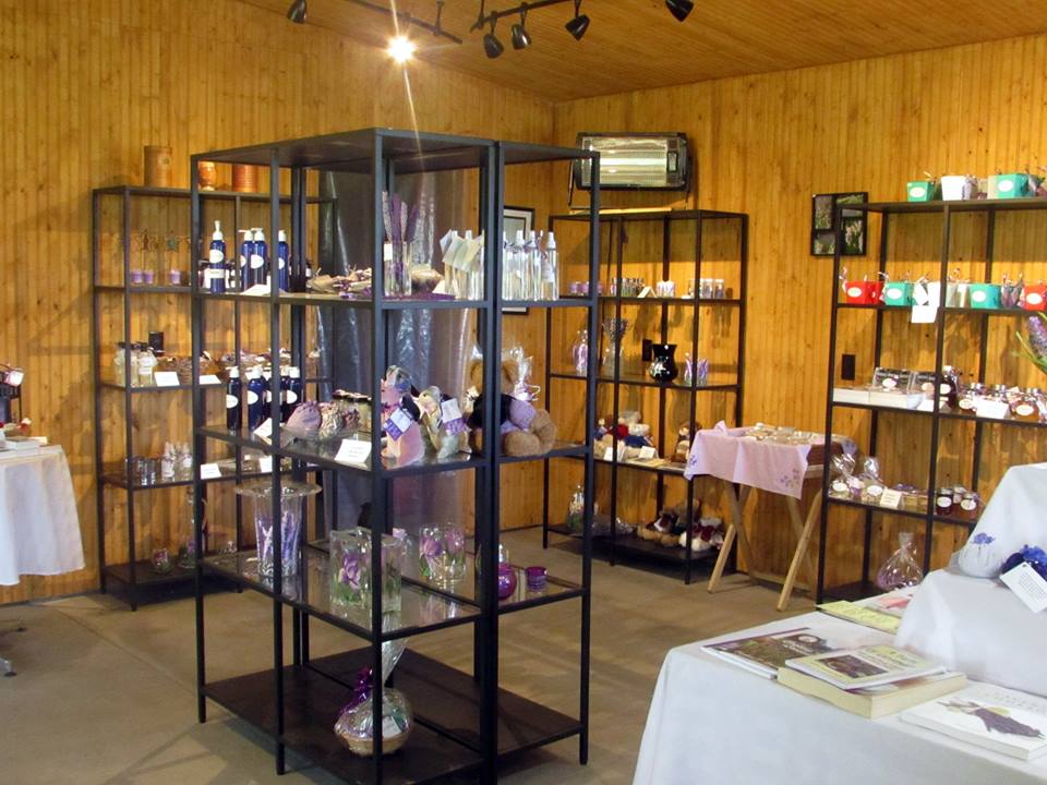 Christel Lake Lavender | 1381 Scugog Line 12, Greenbank, ON L0C 1B0, Canada | Phone: (905) 985-9060