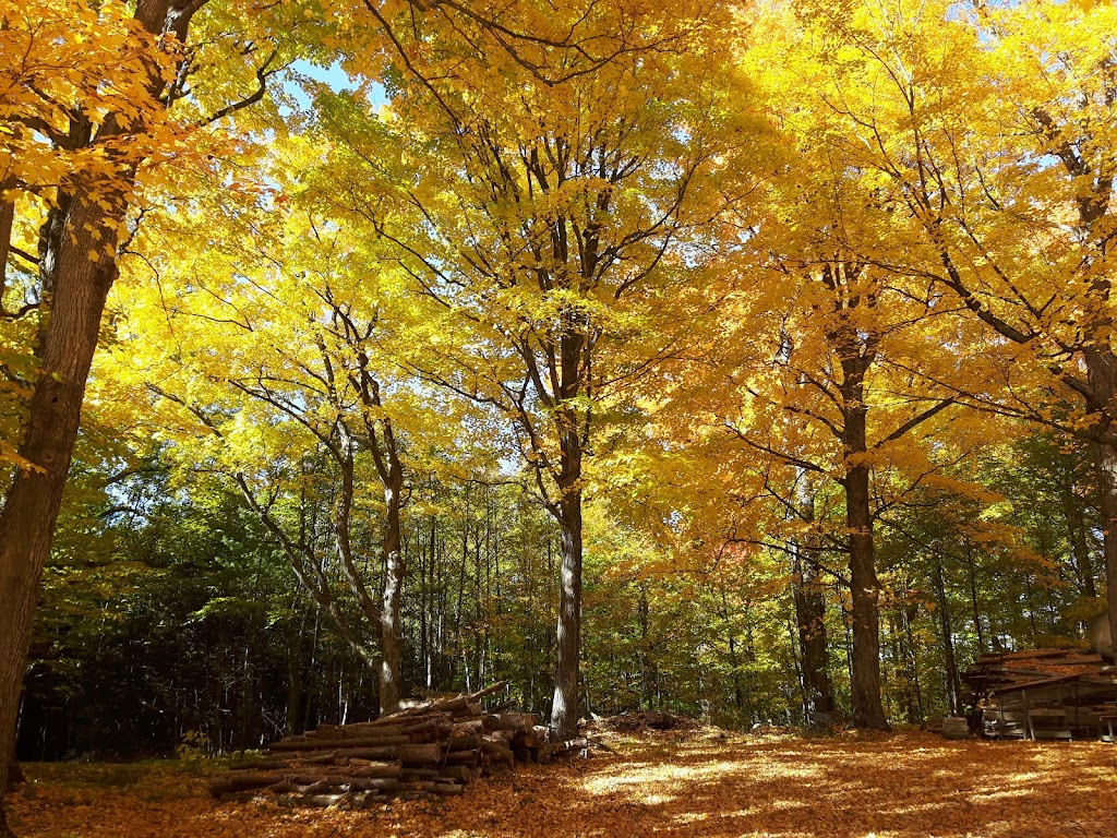 Dunwurkn Farms Maple Camp | Hoddinott Ln, Balderson, ON K0G 1A0, Canada | Phone: (613) 836-1291