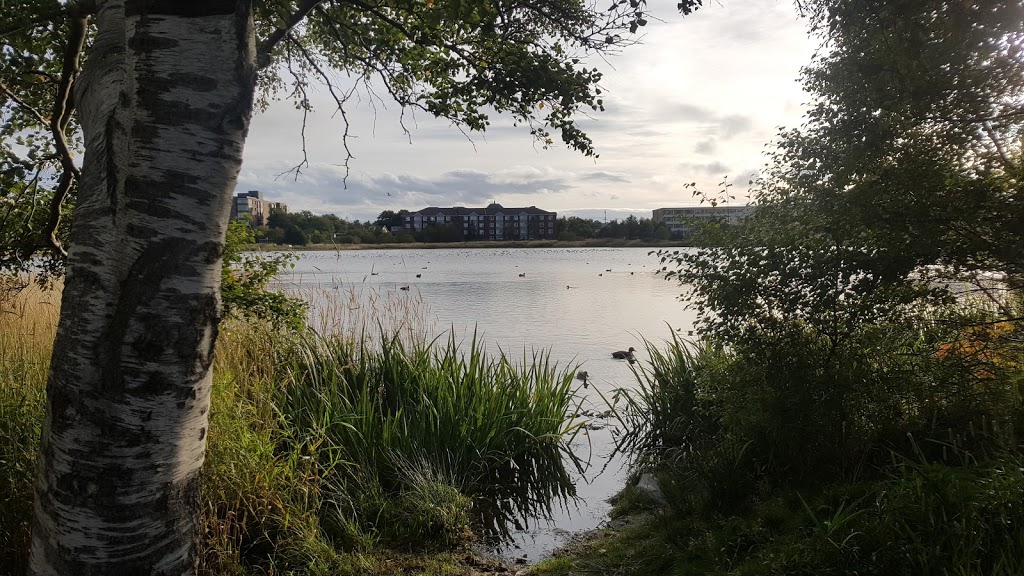 Kennys Pond Park | Kennys Pond Walk, St. Johns, NL A1A 0E4, Canada