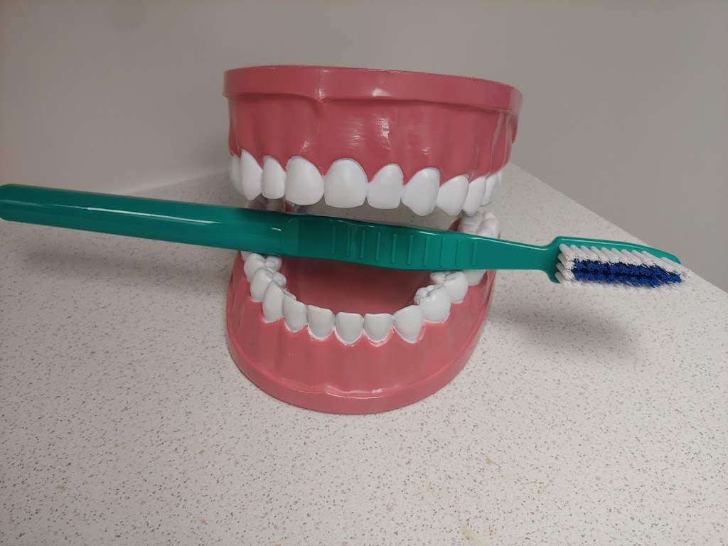 Brantford Dental Hygiene | 84 Charing Cross St unit 7, Brantford, ON N3R 2H6, Canada | Phone: (519) 304-8484