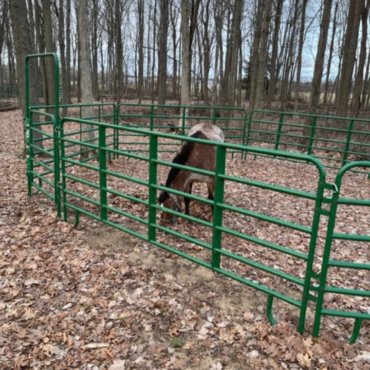 Horseshoe Ranch | 567 Charlotteville Rd 1, St Williams, ON N0E 1P0, Canada | Phone: (226) 228-3536