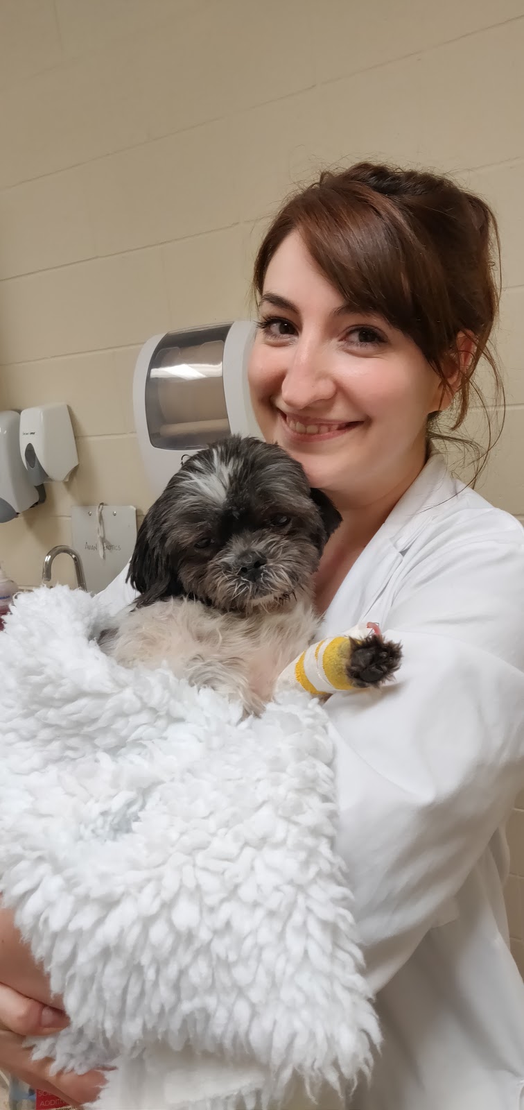 OVC Companion Animal Hospital | 28 College Ave W, Guelph, ON N1G 2W1, Canada | Phone: (519) 823-8830