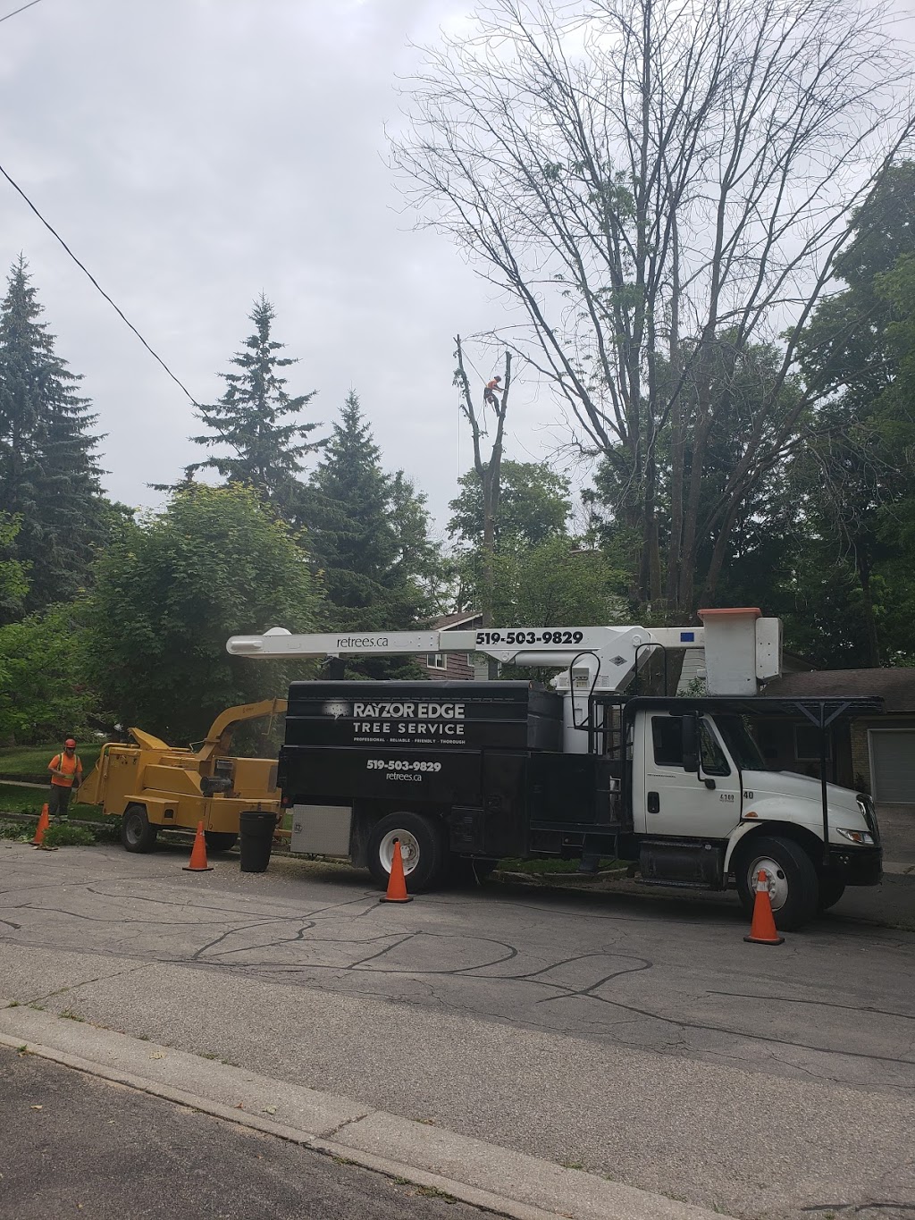 Rayzor Edge Tree Service | 1693 Durst Rd, St. Jacobs, ON N0B 2N0, Canada | Phone: (519) 503-9829